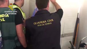 La Guardia Civil desarticula en la Vega Baja una organización que distribuía droga por encargo