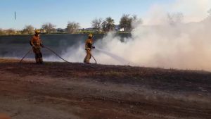 Arden 7.000 metros cuadrados de cañar entre Molins y La Campaneta