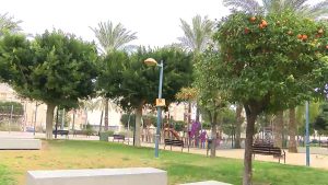 La UMH asesorará a Orihuela para reorganizar parques y jardines