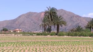 Los agricultores, cautelosos con la sentencia sobre el caudal hidrológico del Tajo