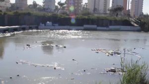El Síndic abre investigación ante las acumulaciones de plásticos en la desembocadura del río