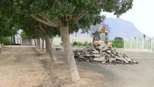 Una treintena de aparcamientos para el cementerio de Rafal