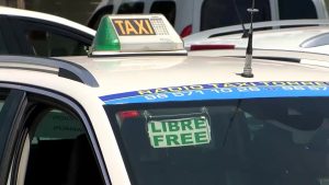 Los taxistas de Torrevieja y Orihuela volverán a compartir servicio en la costa este verano