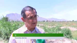 Proyecto de balsa en Cox para usar agua depurada