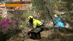 Con la mirada puesta en el verano: San Miguel de Salinas ya cuenta con bomberos forestales