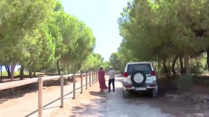 La restauración del hábitat natural del PN conllevará la tala de más de 21.000 árboles