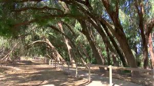 Rincones por descubrir en nuestro parque natural