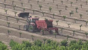 Las ITV móviles para vehículos agrícolas y ciclomotores visitarán en septiembre la comarca