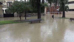 Rescates en Pilar de la Horadada, San Miguel, Benferri y Callosa de Segura