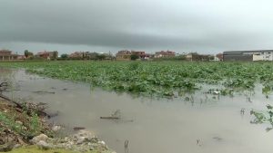 Los regantes emitieron informe en 2017 alertando de daños junto al puente de Algorfa