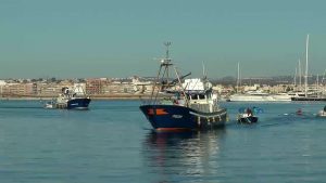 El Consell destina más de 800.000 euros a las Cofradías de Pescadores