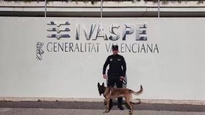 Un agente de la Policía Local de Dolores realizará un curso especializado para guías caninos