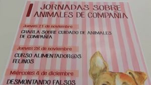 Almoradí presenta un abanico de actividades destinadas a las mascotas