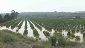 El Consell aprueba la ejecución de obras de emergencia por valor de 4,4 millones de euros