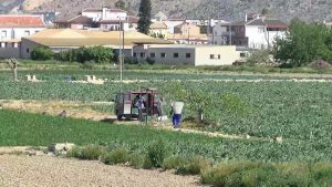 Menos agua para los agricultores de la comarca