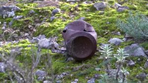 Más protección y cuidado en el monte de Benejúzar