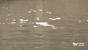 Un río con espuma en el cauce