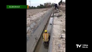 Rescatado un perro en una acequia de Almoradí