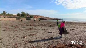 Comienza la limpieza en las playas de Orihuela Costa tras el paso de la borrasca Gloria