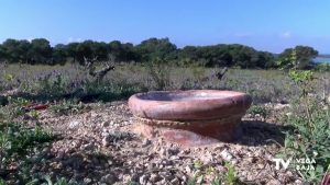 Nacen tres nuevos vinos de los viñedos de La Mata. Y por primera vez, uno tinto