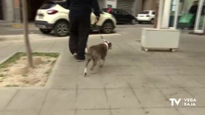 La Policía de Almoradí trabaja en el control de salidas con los perros