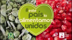 La Alcachofa de la Vega Baja se suma a la campaña «Este País Lo Alimentamos Unidos»