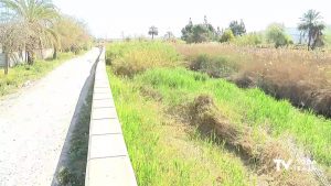 Comienza la limpieza en el tramo del río Segura que discurre desde Orihuela hasta Beniel