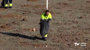 Limpieza Viaria contrata a 39 nuevos trabajadores para desinfección Orihuela Costa