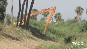 La CHS limpia el cauce del río Segura