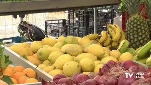 Los limones de la comarca compiten con los de Sudáfrica durante la desescalada de la COVID-19