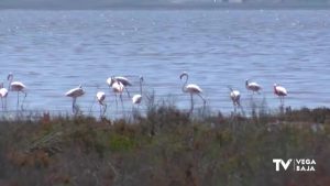 La extraordinaria naturaleza nos vuelve a sorprender