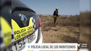 Un incendio en terreno forestal de Los Montesinos moviliza siete unidades de bomberos y policía