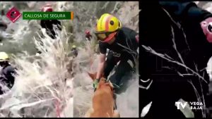 Los bomberos logran rescatar a un perro atrapado en una zona de difícil acceso en Callosa