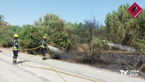 Incendio de matorral y pino en La Campaneta, en Orihuela