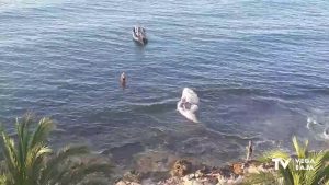 Un cachalote queda varado junto a las piscinas naturales del Paseo Juan Aparicio