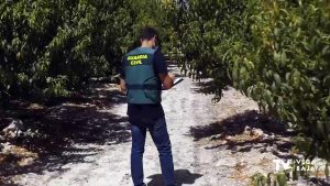 Tres oriolanos detenidos por estafar presuntamente 120.000 euros a agricultores de Murcia