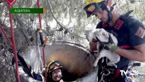 Los bomberos intervienen en varios rescates de animales a lo largo de la jornada