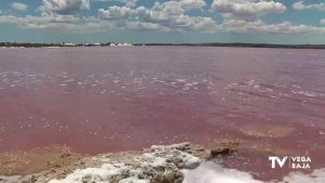 La laguna de Torrevieja va recuperando, poco a poco, su color rosa