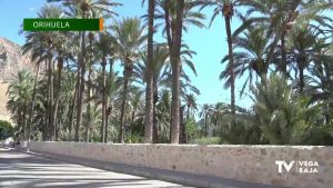 Las obras del Palmeral de San Antón de Orihuela van tocando su fin