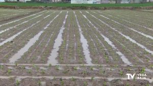 Asegurada el agua de calidad destinada para riego en próximas cosechas