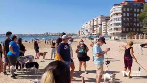 Concentración por una playa canina «digna» en Torrevieja