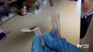 Investigadores de la Comunidad Valenciana trabajan en el desarrollo de un test similar a la PCR