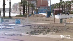 Orihuela y Torrevieja, en la lista de los 50 municipios más urbanizados del litoral español