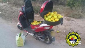 Policía Local de Albatera detectó a un individuo que circulaba en moto con bolsas de naranjas de dudosa procedencia