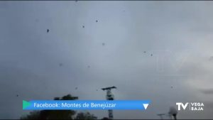 Los murciélagos sobrevuelan el cielo de la Vega Baja en busca de hormigas voladoras como cada otoño