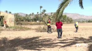 Un equipo de arqueólogos busca la fosa con las víctimas del campo de concentración de Albatera