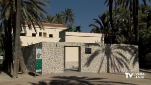 Finalizan las obras de rehabilitación, puesta en valor y conservación del Palmeral de Orihuela