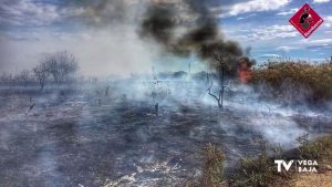 Incendio de matorral y cañas en la huerta de Rojales