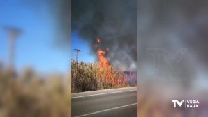 Incendio en el Hondo de Amorós: 2.000 metros cuadrados se ven afectados por el fuego