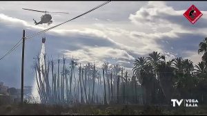 7.000 metros cuadrados se ven afectados por el fuego en un vivero de palmeras de Albatera